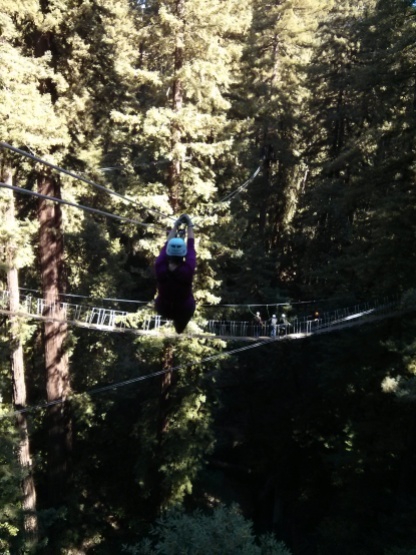 Sheri soars through the treetops